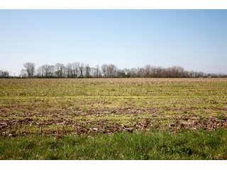 Property photo 9 - REAL ESTATE AUCTION - 486+/- ACRES OFFERED IN 9 TRACTS IN MORGAN & MARION COUNTIES, INDIANA